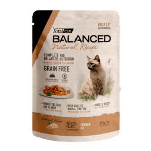 BALANCED NATURAL RECIPE GATO POUCH 85 GR POLLO