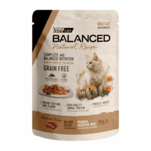 BALANCED NATURAL RECIPE GATO POUCH 85 GR CARNE