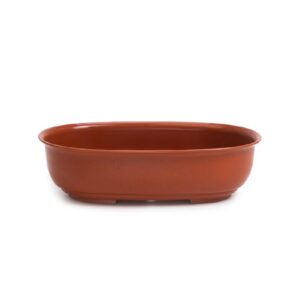MACETA BONSAI OVALADA N°20 TERRACOTA