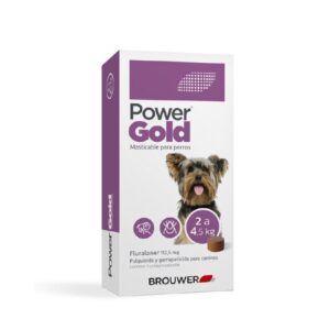 POWER GOLD 3 MESES 2 A 4/5 KGS
